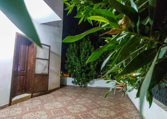 Garden House Camp 2
